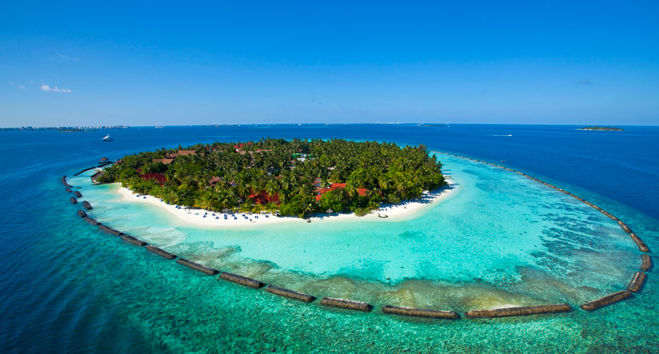 馬爾代夫椰子島